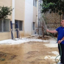 Jardin des olives