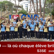 S3SE