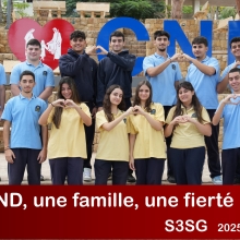 S3SG