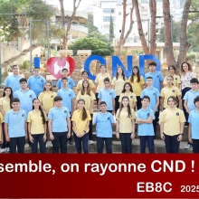 8 C 