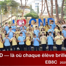8 C 